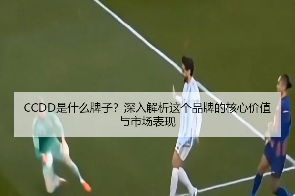 CCDD是什么牌子？深入解析这个品牌的核心价值与市场表现